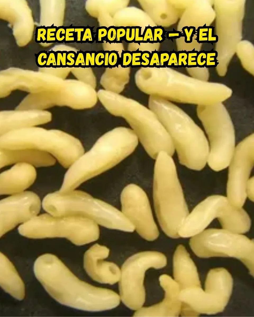 Органска намирница